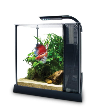 Fluval Betta Premium Aquarium Kit