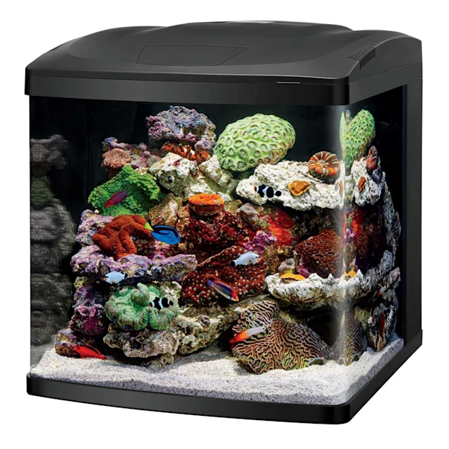 Coralife LED BioCube Aquarium Kit, 32 Gallon